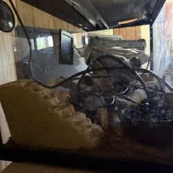 Reptile Tank 