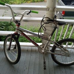 Rare 1995 Redline Proline Expert BMX bike