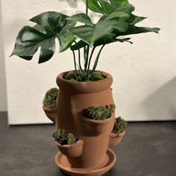 Faux Fake Terracotta Plant With Moss