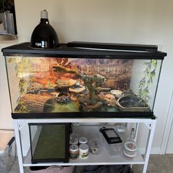 40 Gallon Reptile Tank W/stand 