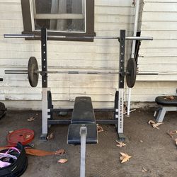 Weight Bench