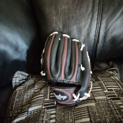 Rawlins the gold glove Kids Right