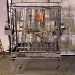 bird cage Big Birds Cage Paroot Cage 