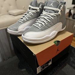 Jordan 12 Stealth 