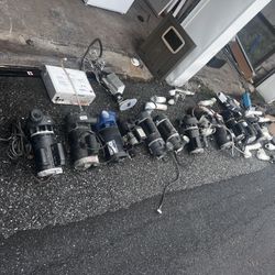 Pool Pumps