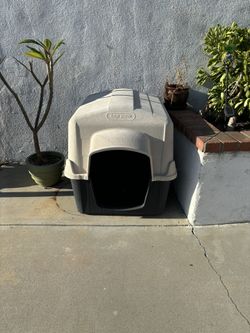 Dog House