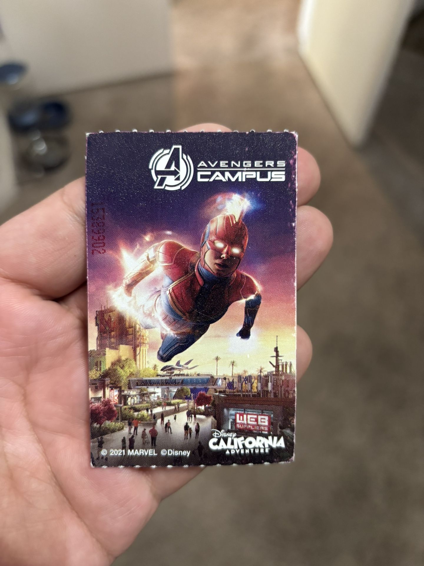 Disneyland All Day Ticket