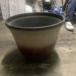 Flower Pot