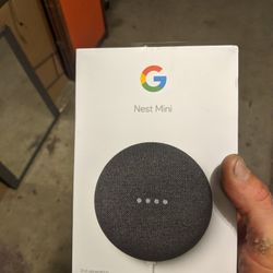 Google Nest Mini