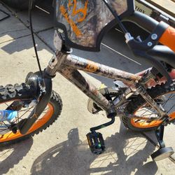 16" Realtree boys bike