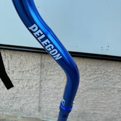 Quad Cane