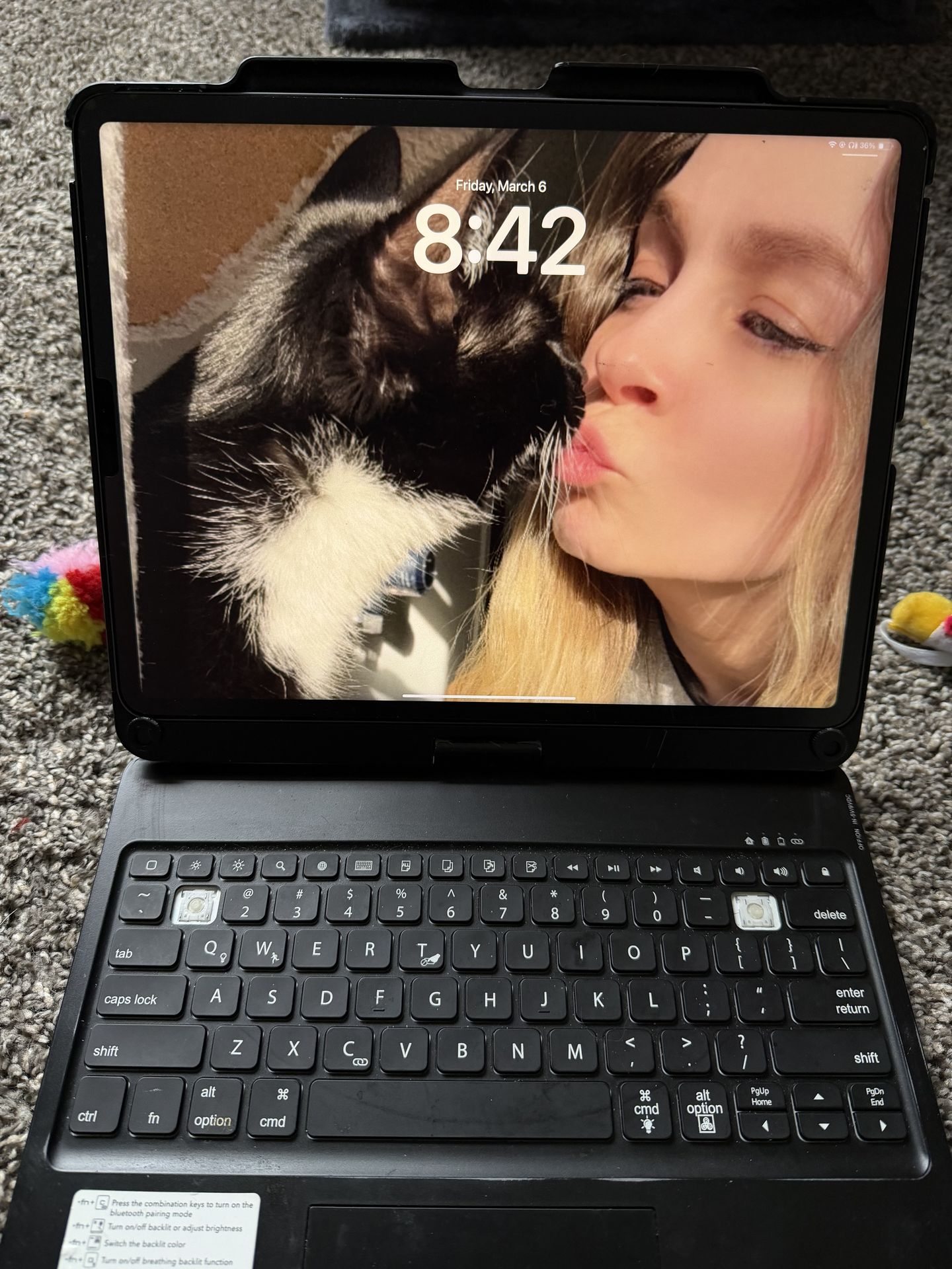 iPad 5th Gen, 12.9 inches