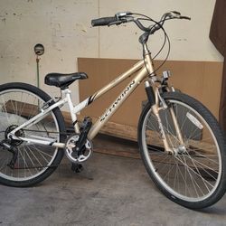 SCHWINN BIKE BICYCLE EXCELLENT CONDITION 