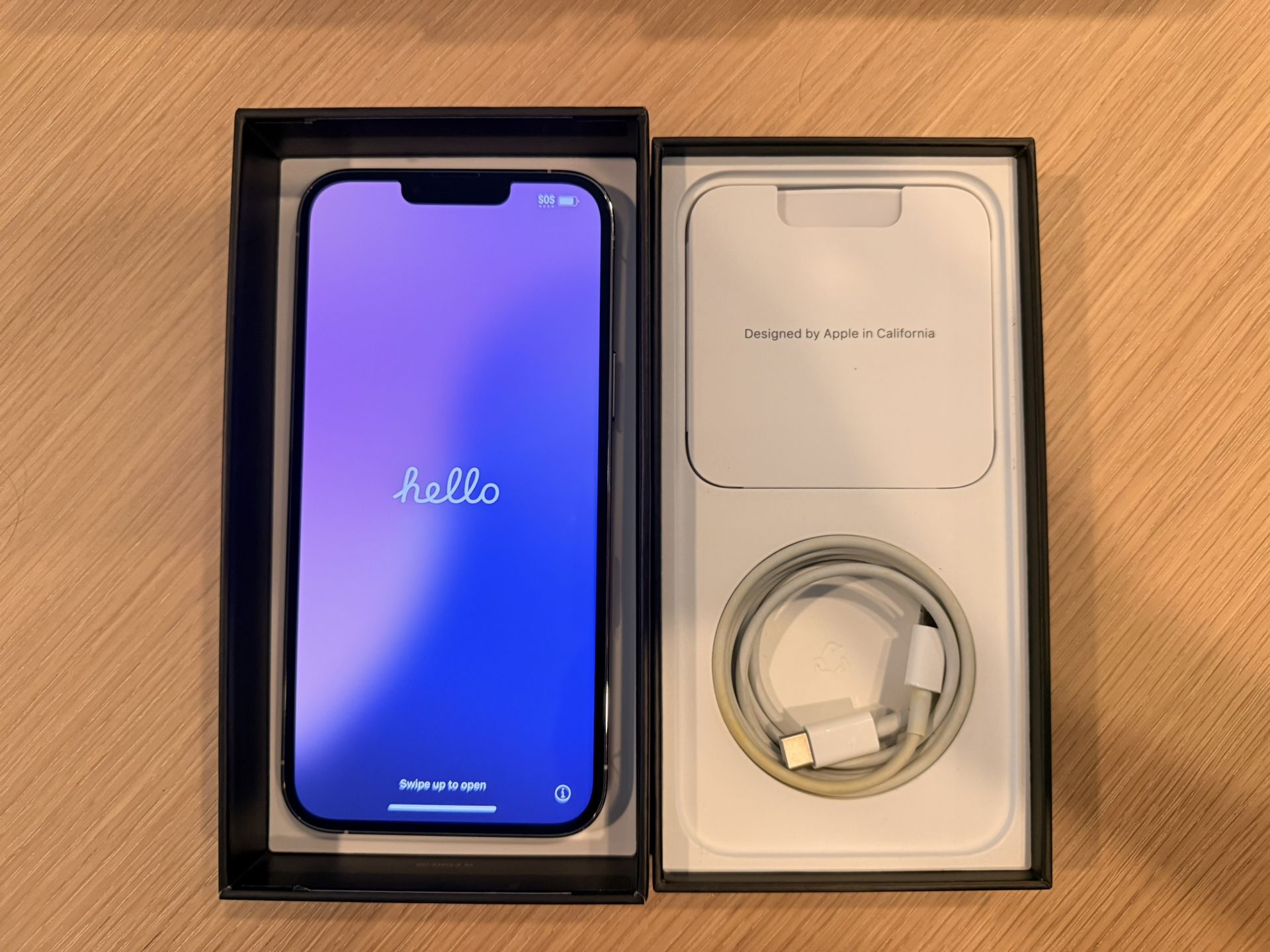 Silver iPhone 13 Pro Max (256 GB)