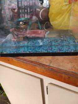 Tank with two turtles for 40.00
