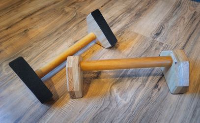 Parrallettes Workout Exercise