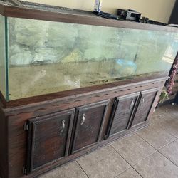 **125 Gallon Fish Tank **