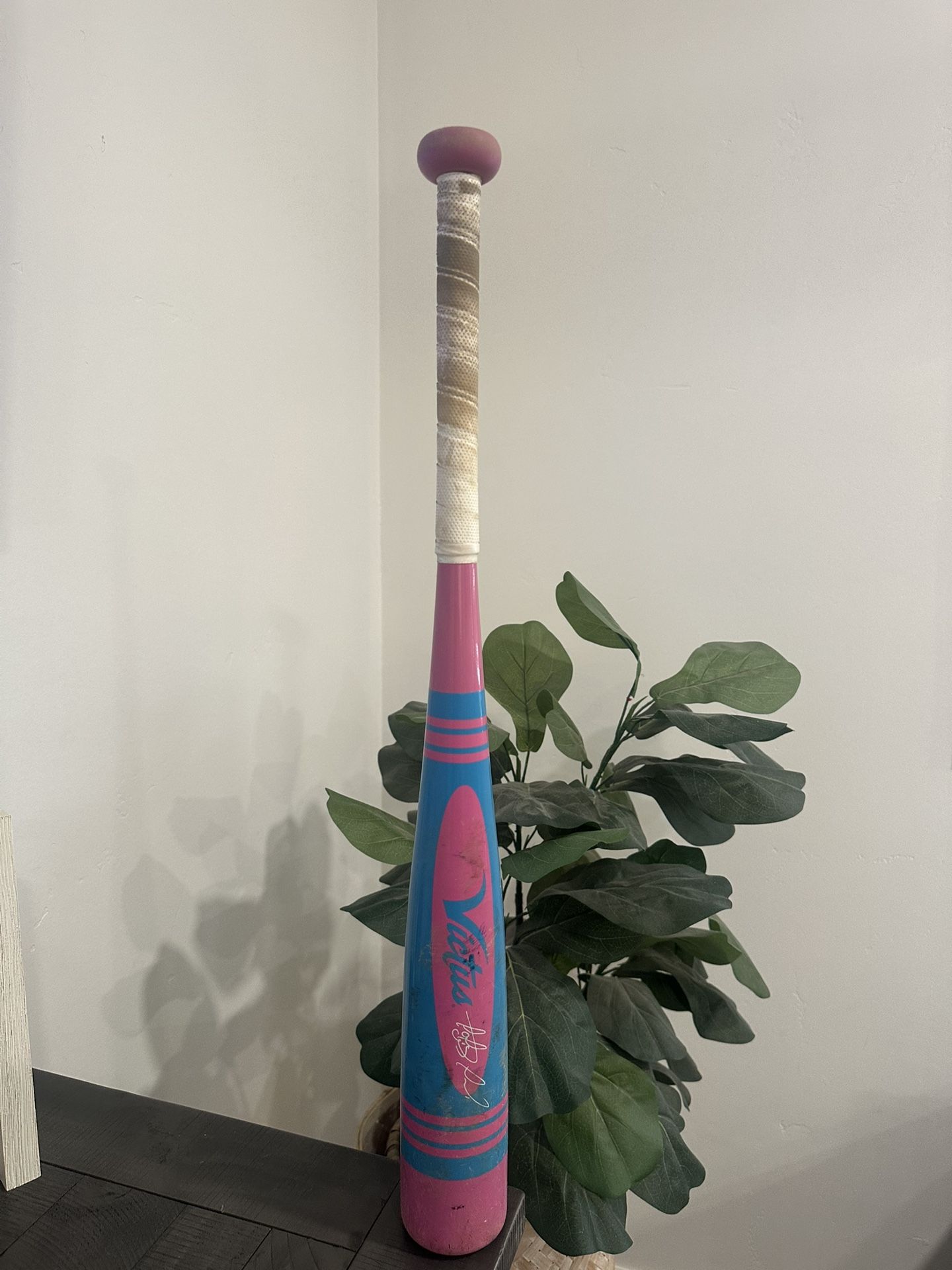 Baseball Bat