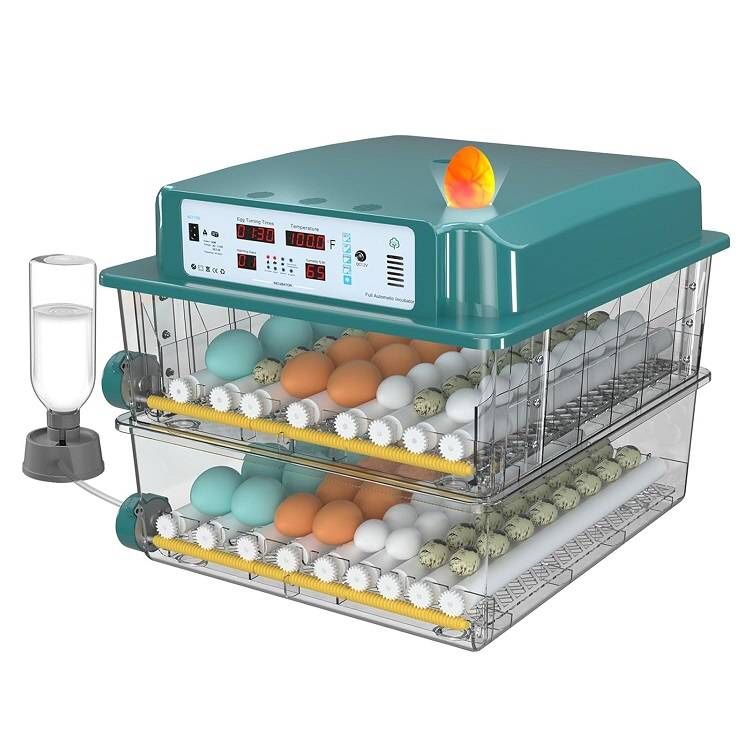 Incubators for Hatching 120 Eggs with Automatic Egg Turning