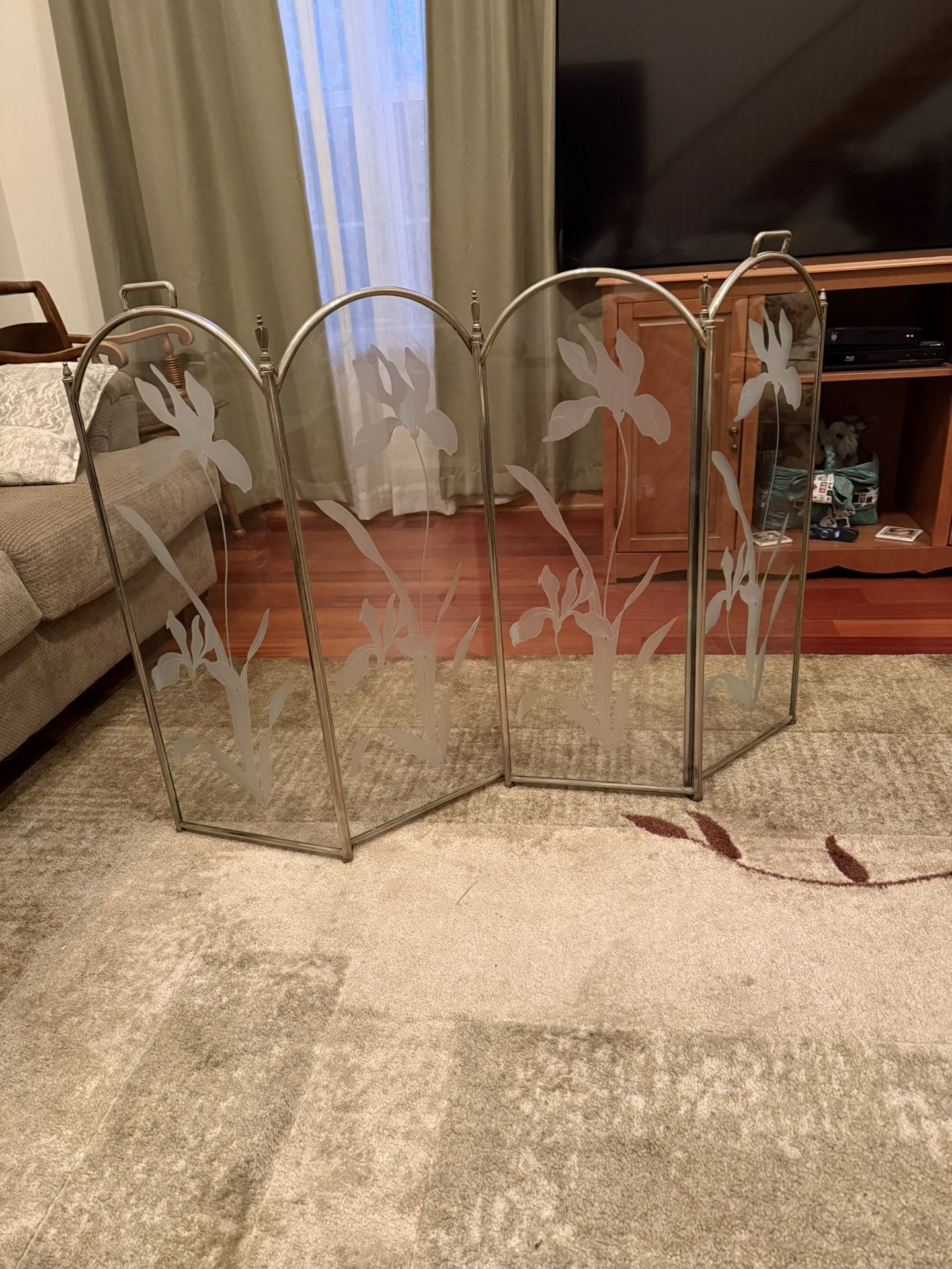 Fire Place Glass Screen