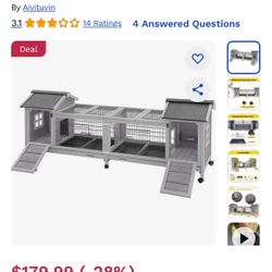 Brand New Rabbit:small Animal House 