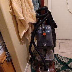 Hoover Carpet Cleaner