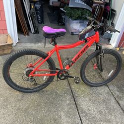 Woman’s Bike