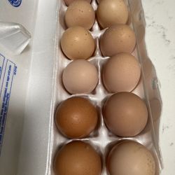 Dozen Eggs