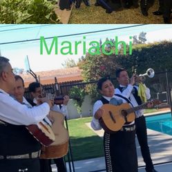 Trompeta Estuche De Mariachi