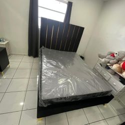 Queen Bed For Sale 