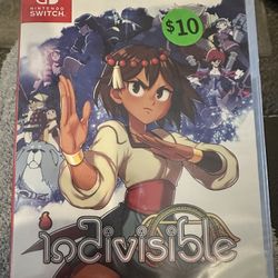 Nintendo Switch Indivisible 