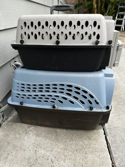 Stuff For Dog