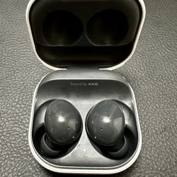 Samsung EarBuds 2 