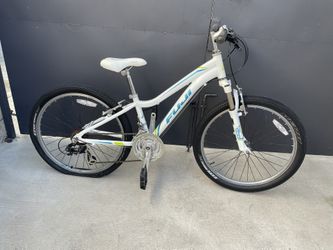 Fuji Bike