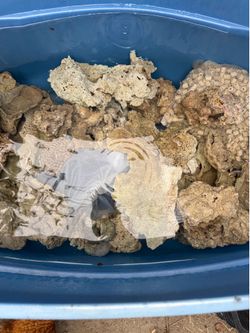 Reef Rocks - Saltwater