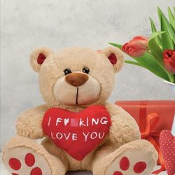 Brand New 10 inch Red Heart Brown Teddy Bear I Love You Stuffed Animals
Valentines day gifts
Brand new
Pick up from Sammamish 
Cash