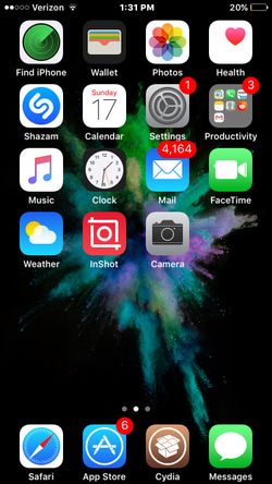 Jailbroken Iphone 6s (With Cydia!)