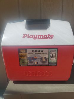 IGloo cooler  30 cans 16 Quarts, I ASK $20.00 cash