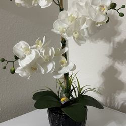 Artificial Orchid Arrangement