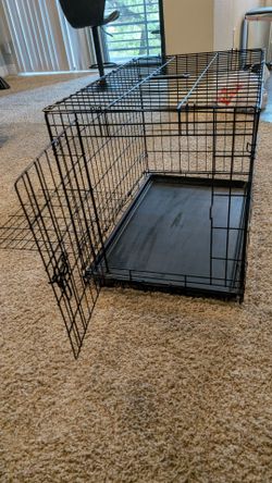 Dog kennel