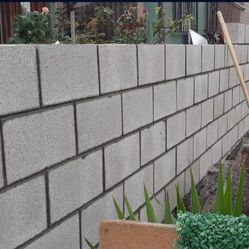 Wall