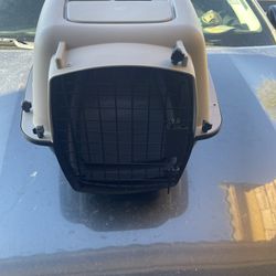 Small pet carrier