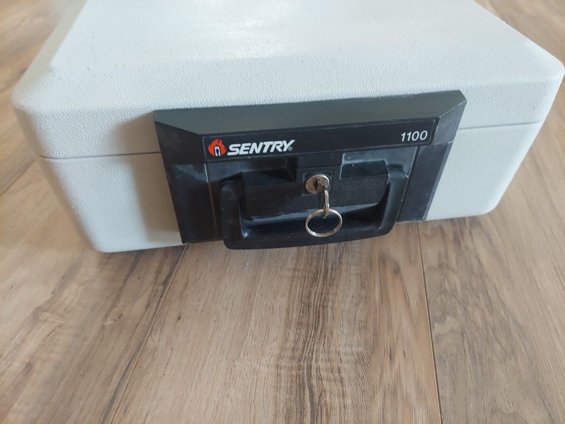 Serenty Small Safe