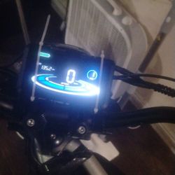 2025   Ice Bear   Ebike 