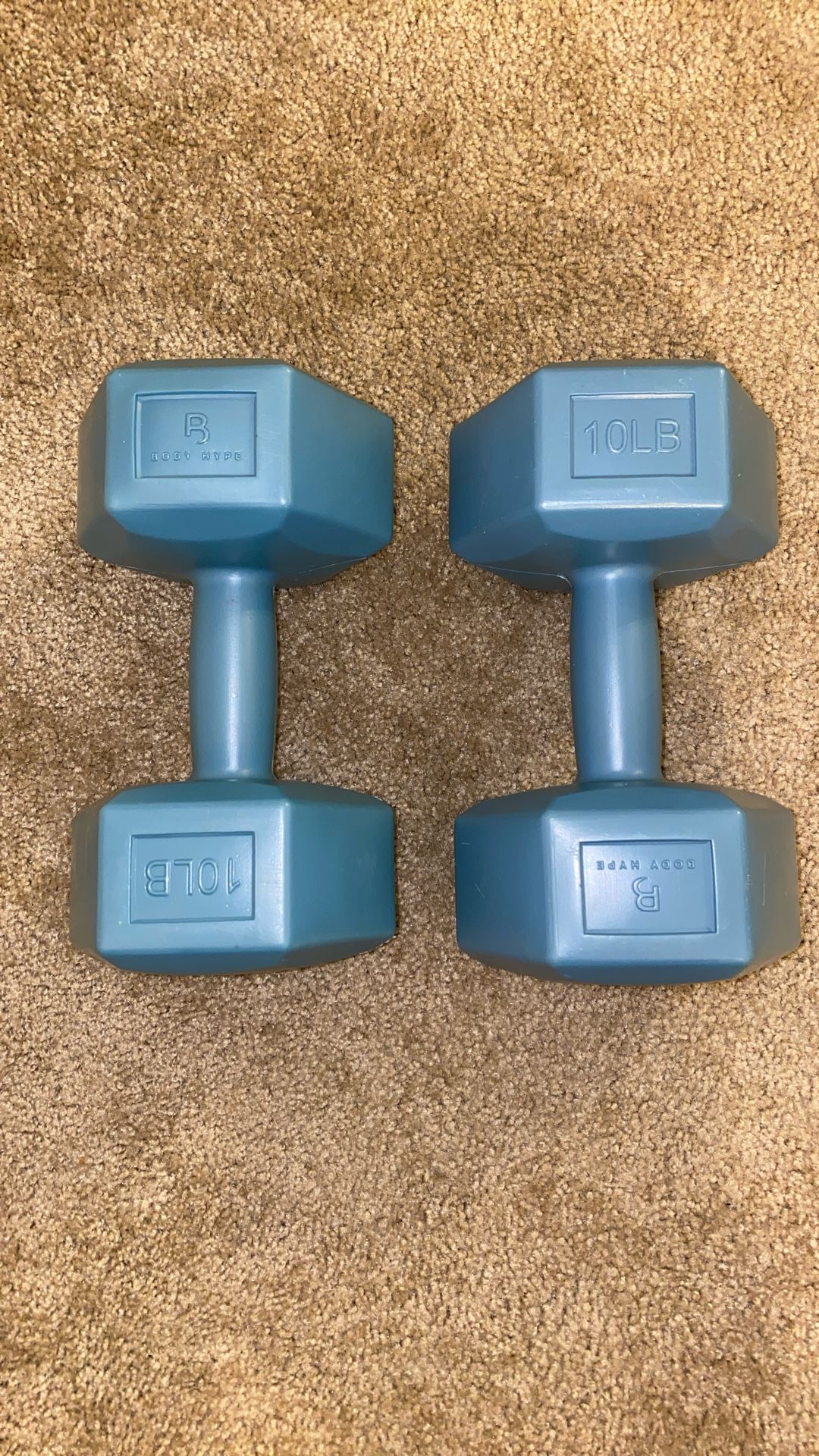 10LB Dumbbells 