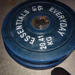 530 lbs Of Weight Plates For Pickup Only 