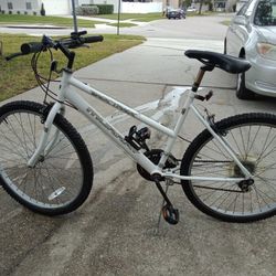 Murray Back Track Bike
