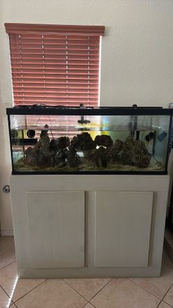 75 gallon Fish tank