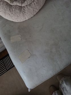 Free sofa