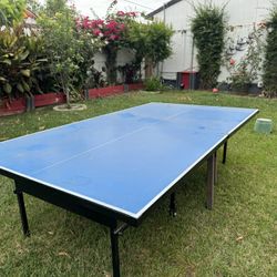 Ping-Pong Table In Good Shape With Plastic Top Will Never Swell Or Rust